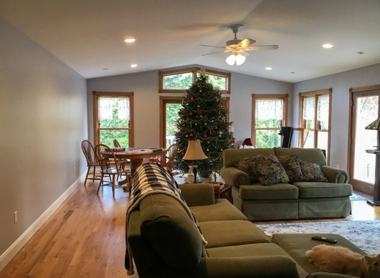 Warm and inviting living room decorated with a Christmas tree, featuring wooden floors, large windows, and a plush green sofa, perfect for holiday gatherings.